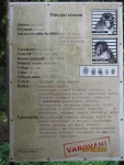 IMG_1954.jpg, 16kB